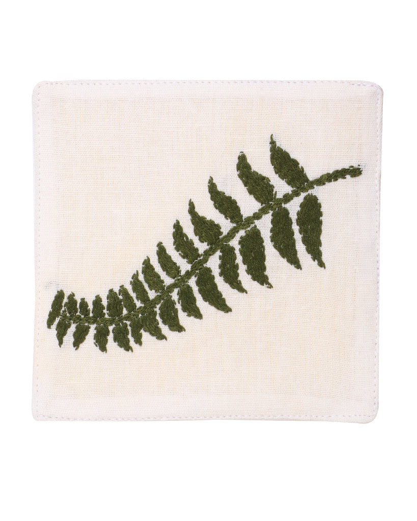 FERN ON WHITE